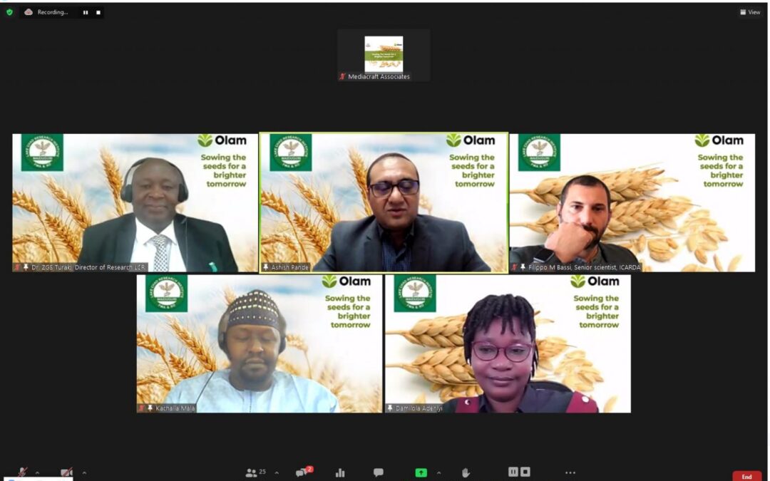 OLAM ANNOUNCES N300M INVESTMENT TO SET UP COMMUNITY SEED ENTERPRISES TO INCREASE WHEAT PRODUCTION IN NIGERIA