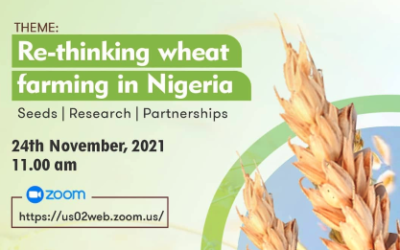 Rethinking wheat farming in Nigeria – Seeds, Research and Partnerships