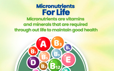 Micronutrients are minerals and vitamins that are essential in the body