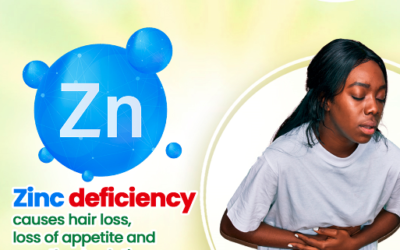 Zinc deficiency leads to growth retardation